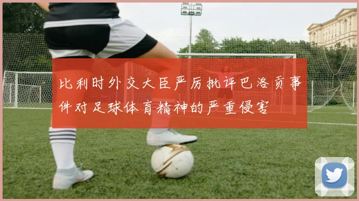 比利时外交大臣严厉批评巴洛贡事件对足球体育精神的严重侵害